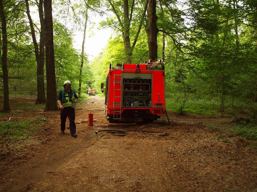 Waldbrand Bergisch Gladbach Bensberg P105.JPG